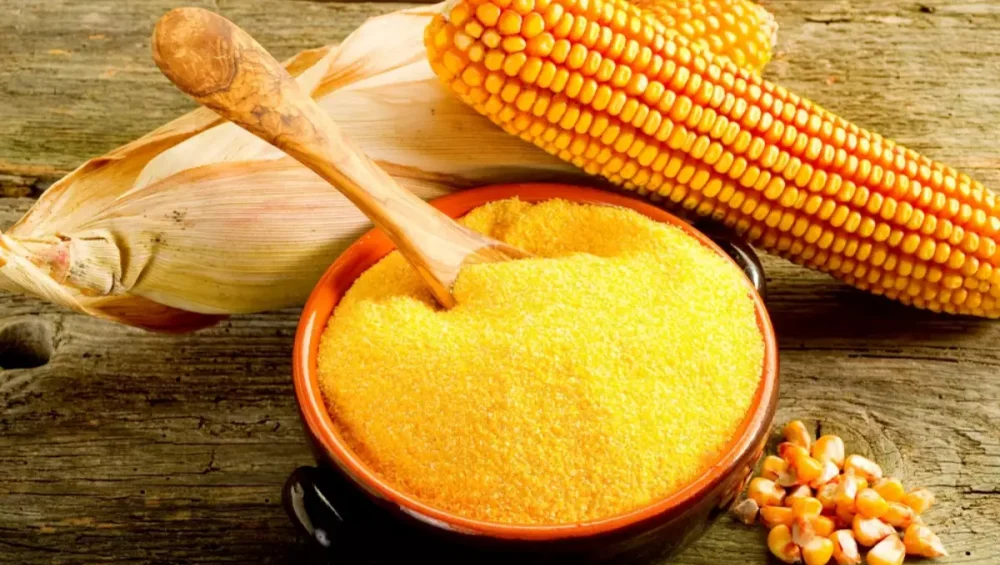 corn grits flour bran food feed industry — Supriya Corn product range Hyderabad