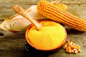 corn grits flour bran food feed industry — Supriya Corn product range Hyderabad